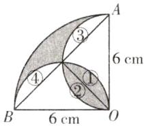 6cm