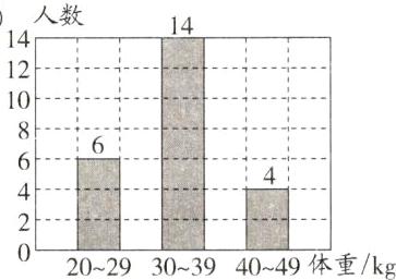 202930394049体重kg