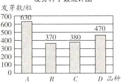 100D品种