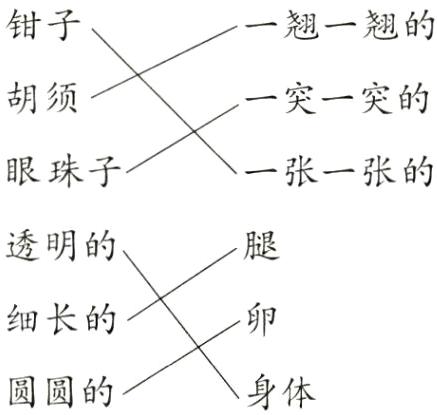 身体圆圆的
