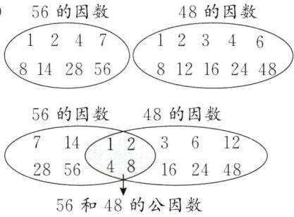 16244856和48的公因数