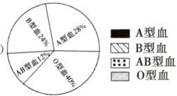 目B型血AB型血BNOR0型血