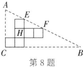 第8题