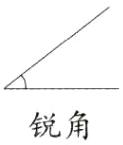 锐角