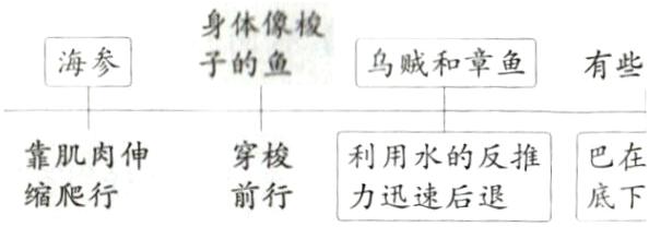 靠肌肉伸穿梭利用水的反推缩爬行前行力迅速后退