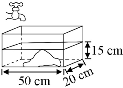 50cm20cm