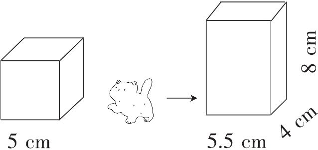 4cm5cm55cm