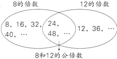 8和12的公倍数