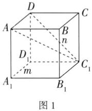B1图1
