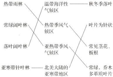 常绿 乔木亚寒带针叶林−北美大陆的亚寒带地区多革质叶片
