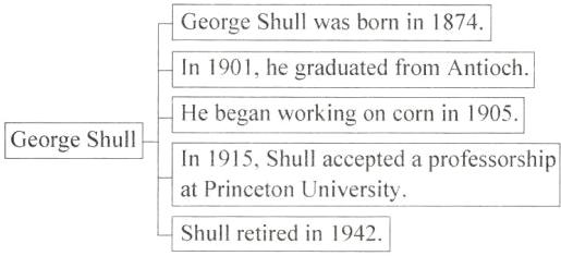 atPrincetonUniversityShullretiredin1942