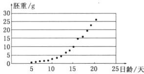 10510152025日龄/天