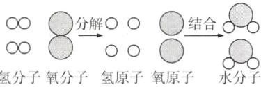 O氢分子氧分子氢原子氧原子水分子