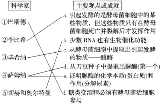 作用分解尿素f糖类变酒精必须有酵母菌活细胞切赫和奥尔特曼参与