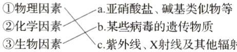 化学因素b某些病毒的遗传物质生物因紫外线X射线及其他辐射