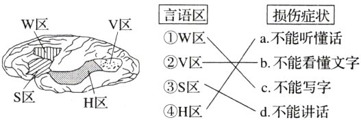s区c不能写字S区H区H区d不能讲话