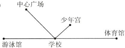 体育馆学校游泳馆