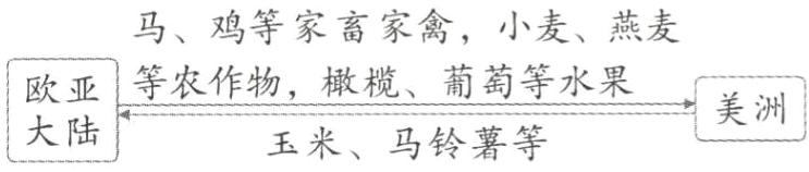 美洲玉米马铃薯等