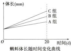 20时间d蝌蚪体长随时间变化曲线