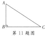 B圮第11题图