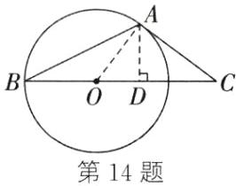 第14题