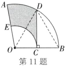 第11题