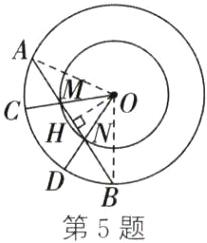 第5题