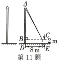 DomE第11题