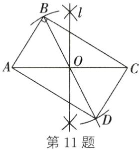 第11题