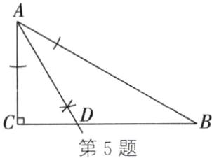 第5题