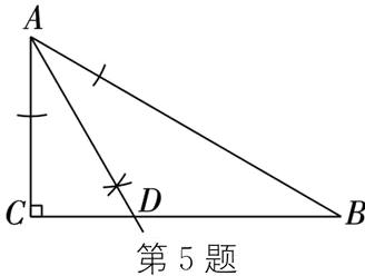 第5题