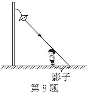 影子第8题