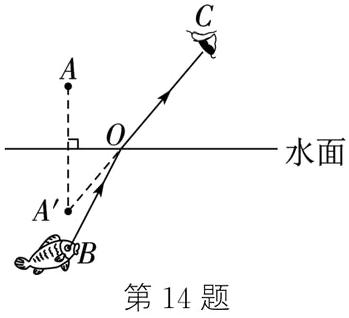第14题