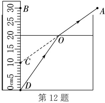 第12题