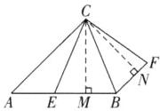 FEMB