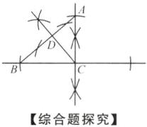 综合题探究
