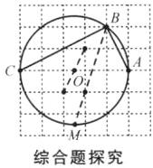 M综合题探究