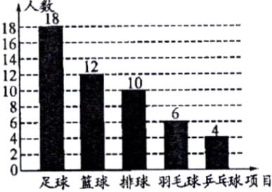 足球篮球排球羽毛球乒乓球项目