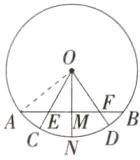 八FAE野B