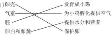 提供水分和营养保护卵卵白和卵黄