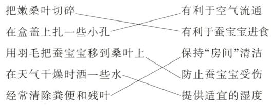 防止蚕宝宝受伤在天气干燥时洒一些水经常清除粪便和残叶供适宜的湿度