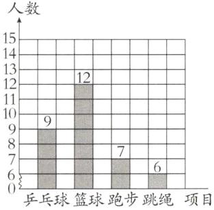 乒乓球篮球跑步跳绳项目