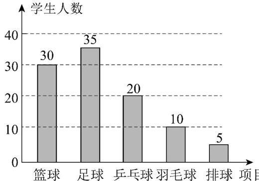 篮球足球乒乓球羽毛球排球项目