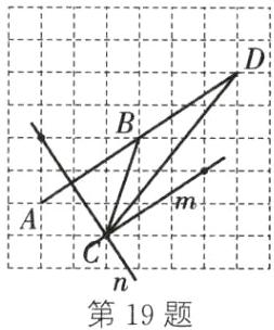 第19题