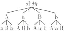 个不个aBbABhAabAaB