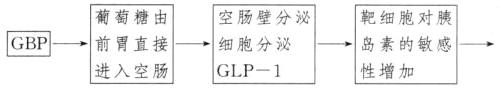 GBP前胃直接细胞分泌岛素的敏感进入空肠性增加GLP1