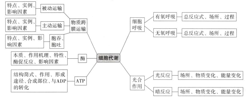 暗反应场所物质变化能量变化