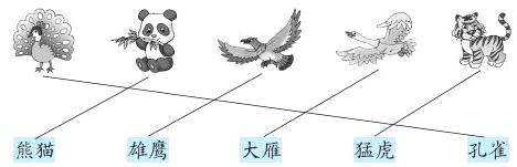 熊猫雄鹰大雁猛虎