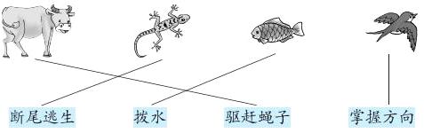 断尾逃生拔水驱赶蝇子掌握方向