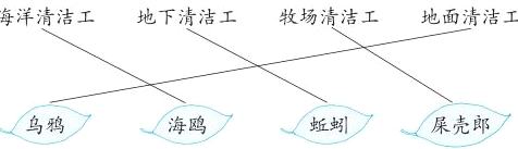 保壳郎乌鸦海鸥